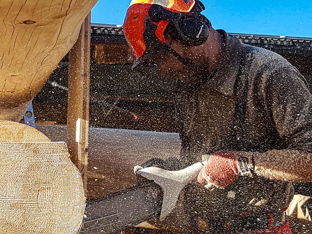 Fachmann mit Motorsaege